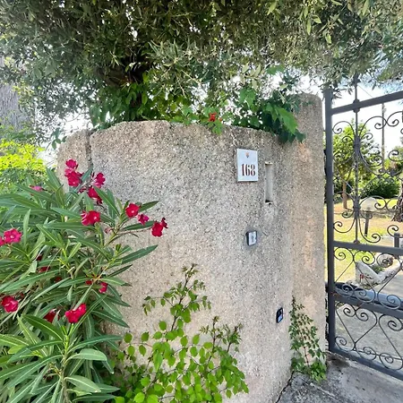Apartment Sardinia Re - Basement Sole & Luna Alghero
